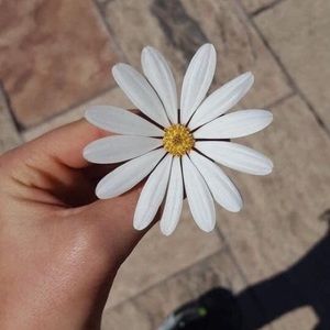 Meet your Posher, Yendi